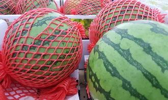 隔网吃瓜,揭秘网络时代的“吃瓜”现象