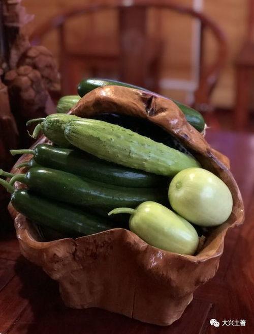 刚结婚的网红吃瓜,网红夫妻甜蜜生活大揭秘